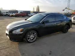 Salvage cars for sale from Copart Hayward, CA: 2013 Nissan Maxima S