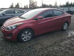 Vehiculos salvage en venta de Copart Graham, WA: 2016 Hyundai Elantra SE