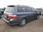 2005 Honda Odyssey EXL