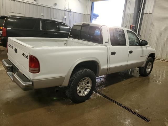 2001 Dodge Dakota Quattro