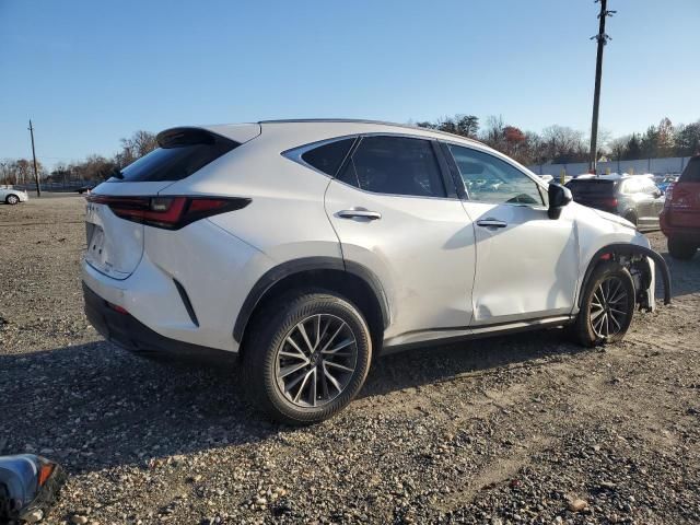 2022 Lexus NX 350