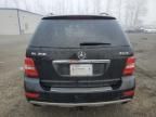 2010 Mercedes-Benz ML 350 4matic