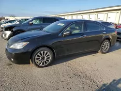 Lexus salvage cars for sale: 2007 Lexus ES 350