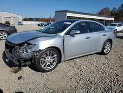 2010 Nissan Maxima S en venta en Memphis, TN