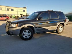 Ford Escape salvage cars for sale: 2002 Ford Escape XLT