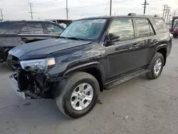 Salvage cars for sale at Los Angeles, CA auction: 2019 Toyota 4runner SR5