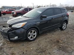 Ford Vehiculos salvage en venta: 2014 Ford Escape SE