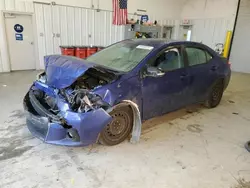 Salvage cars for sale at Martinez, CA auction: 2016 Toyota Corolla L