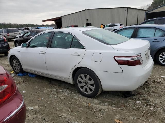 2009 Toyota Camry Hybrid