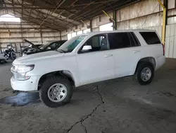 Salvage cars for sale at Phoenix, AZ auction: 2019 Chevrolet Tahoe Special