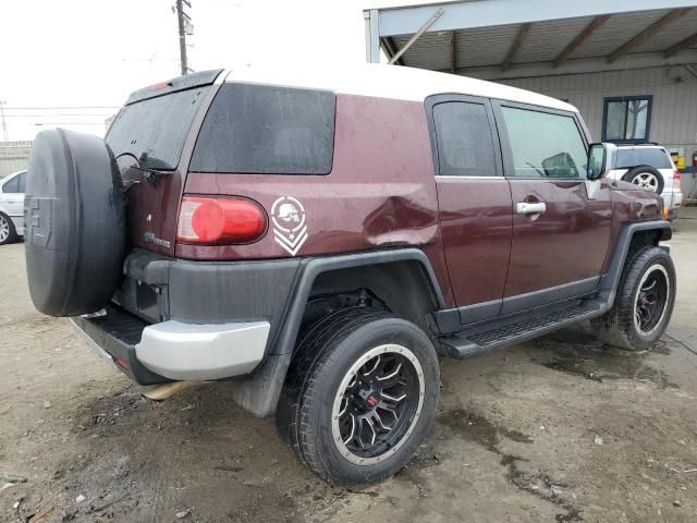 2007 Toyota FJ Cruiser