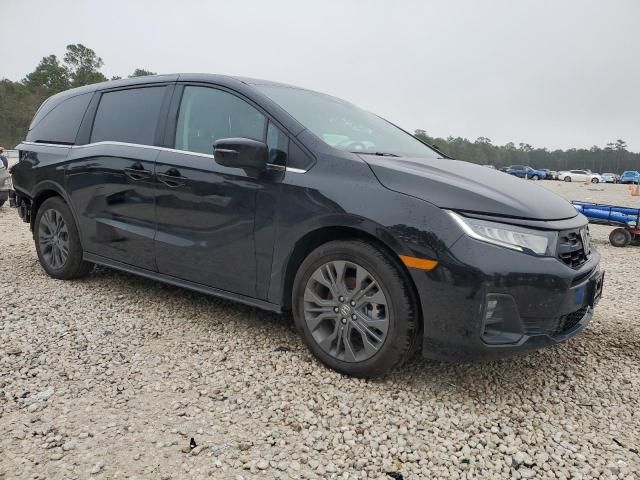 2025 Honda Odyssey Touring