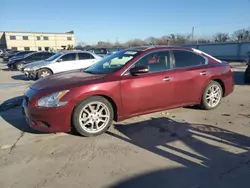 Nissan Vehiculos salvage en venta: 2010 Nissan Maxima S