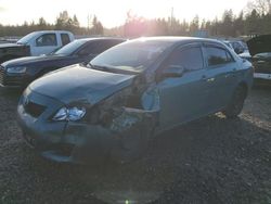 Toyota salvage cars for sale: 2009 Toyota Corolla Base