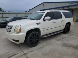 Cadillac salvage cars for sale: 2007 Cadillac Escalade ESV