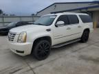 2007 Cadillac Escalade ESV