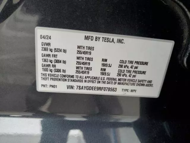 2024 Tesla Model Y