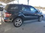 2010 Mercedes-Benz ML 350