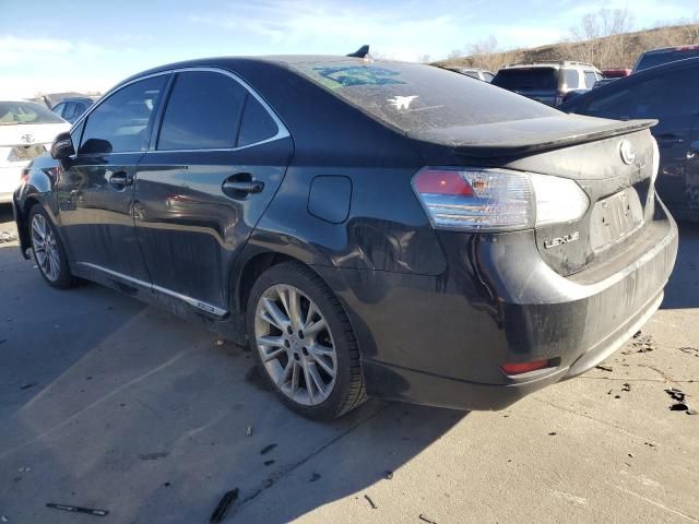 2010 Lexus HS 250H