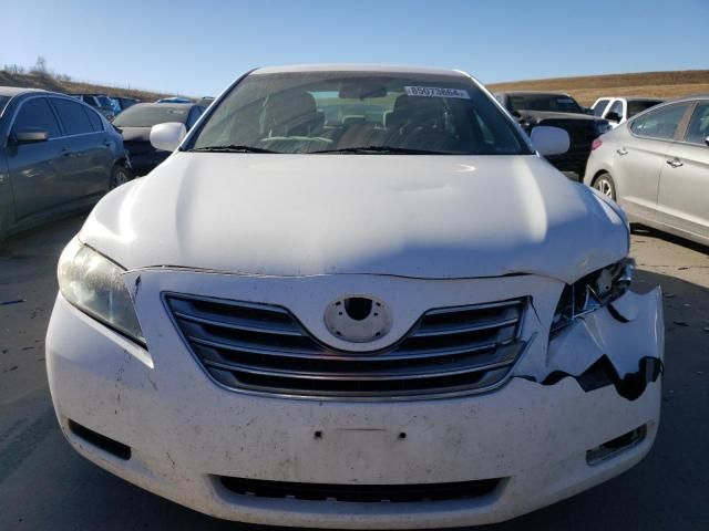 2009 Toyota Camry Hybrid