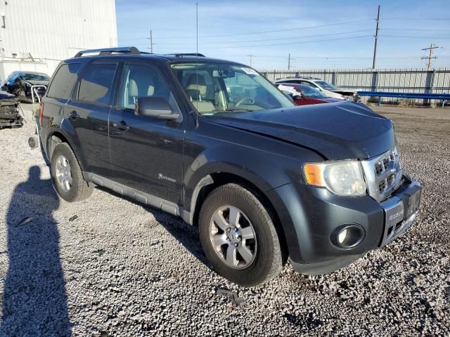 2009 Ford Escape Hybrid