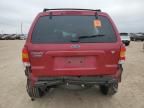 2006 Ford Escape Limited