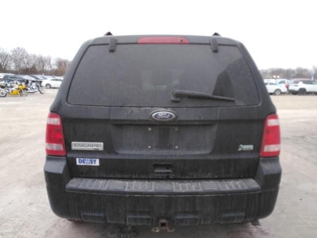 2010 Ford Escape XLT