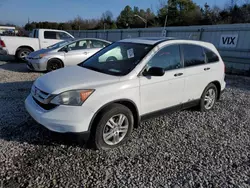 Salvage cars for sale at Memphis, TN auction: 2010 Honda CR-V EX