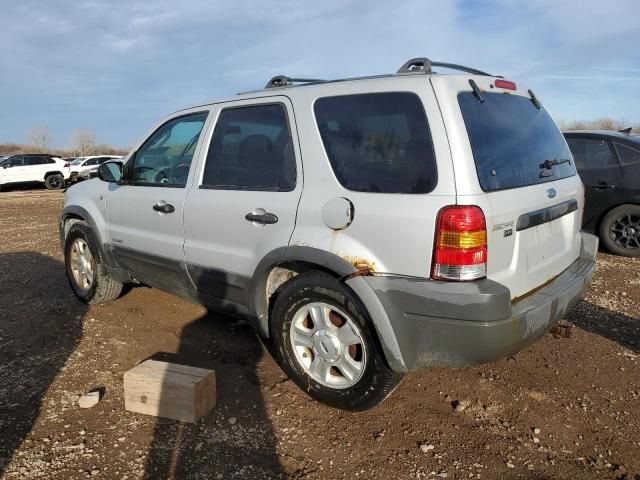 2002 Ford Escape XLT