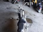 2002 Harley-Davidson Fxstd