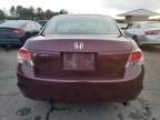 2010 Honda Accord LXP