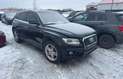 Audi q5 Premium Plus salvage cars for sale: 2017 Audi Q5 Premium Plus