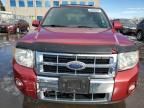 2009 Ford Escape Limited