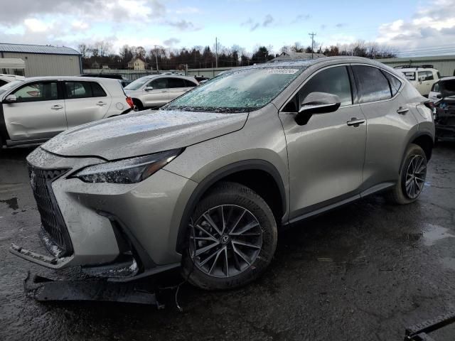 2022 Lexus NX 350