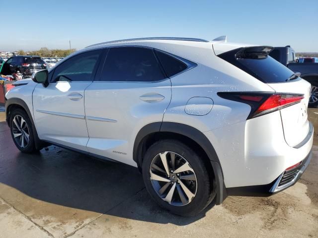 2019 Lexus NX 300H