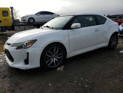 Salvage cars for sale from Copart San Martin, CA: 2014 Scion TC