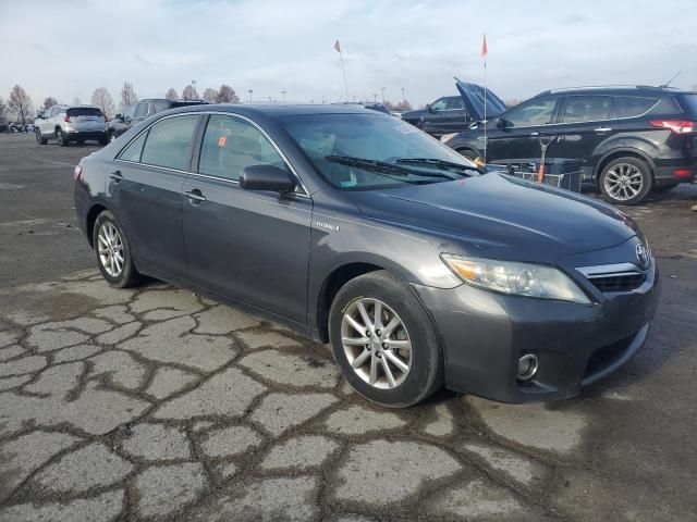 2010 Toyota Camry Hybrid