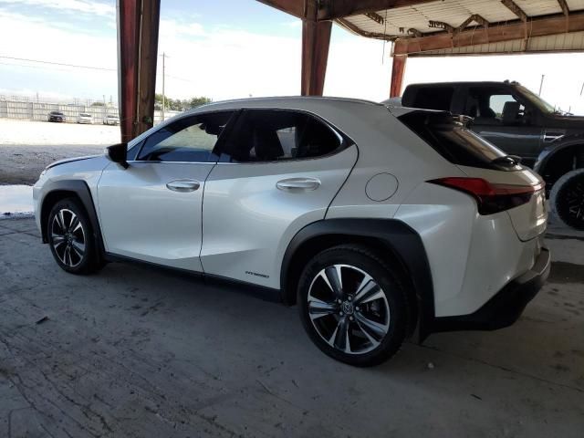 2021 Lexus UX 250H