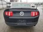 2010 Ford Mustang