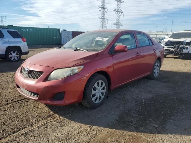 2010 Toyota Corolla Base