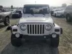 1998 Jeep Wrangler / TJ Sport