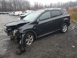 Salvage cars for sale at Baltimore, MD auction: 2013 Toyota Rav4 XLE