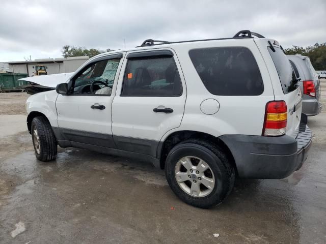 2005 Ford Escape XLT