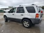 2005 Ford Escape XLT