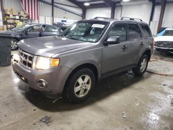 Ford Escape salvage cars for sale: 2012 Ford Escape XLT