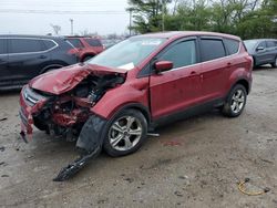 Salvage cars for sale from Copart Lexington, KY: 2014 Ford Escape SE