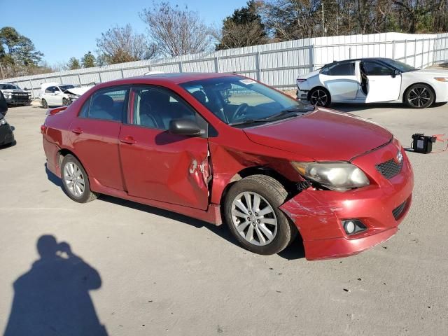 2010 Toyota Corolla Base