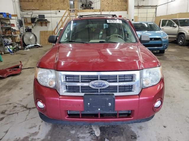 2009 Ford Escape XLT