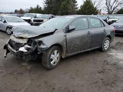 Salvage cars for sale at auction: 2010 Toyota Corolla Base