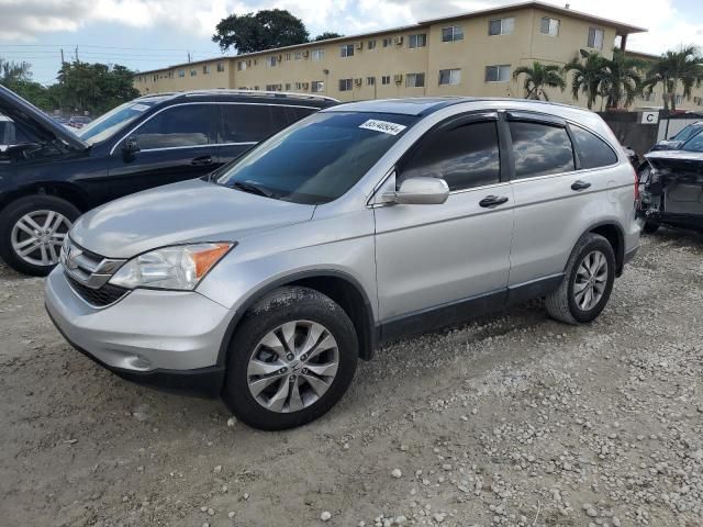 2010 Honda CR-V EXL